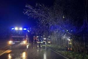 Feuerwehr entfernt Baum nach Sturmschaden von der Straße, schützt Verkehrssicherheit.
