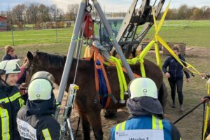 Feuerwehr rettet Pferd mit Hebegeschirr und Dreibein in Bochum-Sevinghausen.