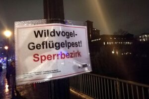 Warnschild vor Geflügelpest in Berlin, Hinweise zu Biosicherheitsmaßnahmen und Tiergesundheit.