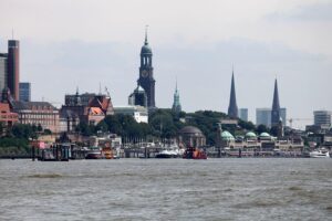 Hamburgs Straßenbäume: Zukunftsbaumarten, Umweltschutz und 3,25 Millionen Euro für neue Pflanzen.
