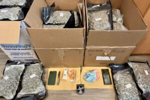 Transporter mit Marihuana-Stapel, Polizei bei Verkehrskontrolle, Drogenfund und Festnahme sichtbar.