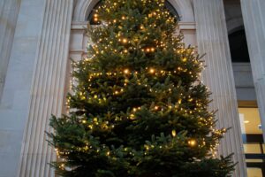 Weihnachtlicher Adventskranz und Tannenbaum im Niedersächsischen Landtag, festlich beleuchtet und dekoriert.