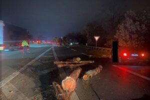 Unfall auf Autobahn: Baumstämme blockieren Fahrbahn, Verkehr stark behindert.