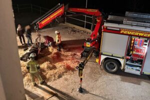 Rettung eines gestürzten Pferdes: Feuerwehr, Kran, Tierärztin, Großtierhebegeschirr, erfolgreiche Hilfe.