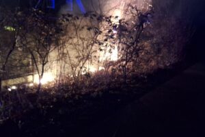 Brennende Hecke am Gymnasium Sottrum, Feuerwehr im Einsatz bei winterlichen Bedingungen.
