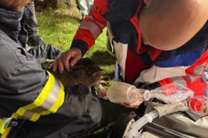 Feuerwehr rettet Katze aus brennendem Einfamilienhaus in Wipperfürth, Feuerwehr im Einsatz.
