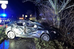 Ein schwer beschädigter Seat, umgeben von Bäumen, nach einem Unfall auf der Straße.