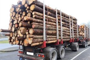 Überladener Holztransporter auf der Straße, Polizei führt Kontrolle durch, Holzstämme sichtbar.