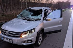 Verunfallter Pkw unter einem Lkw mit beschädigter Windschutzscheibe und aufgerissenem Dach.
