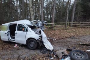 Ein verunfallter Mercedes Citan, umgeben von Trümmern, Einsatzkräfte der Feuerwehr vor Ort.