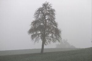 Trübes Wetter mit Nebel über bayerischen Landschaften, Sonnenstrahlen in den Alpen.