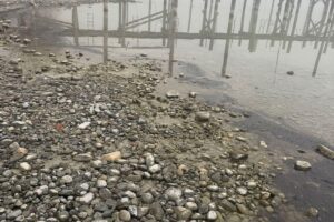 Verschmutzte Wasseroberfläche am Bodensee, Feuerwehr im Einsatz zur Untersuchung eines Ölteppichs.