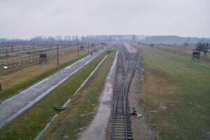 Auschwitz-Dokumente werden feierlich an Gedenkstätte übergeben, Erinnerung an NS-Zeit bewahren.