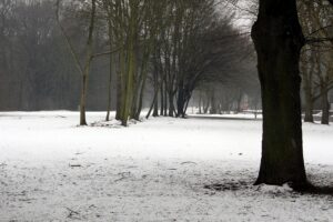 Winterliche Landschaft mit Schneefall, Glättegefahr und frostigen Temperaturen in Hessen gezeigt.