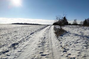 Sturm und Schnee: Stürmische Winterlandschaft mit starkem Schneefall und gefährlichen Windböen.