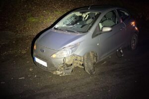 Unfall mit verletzter Autofahrerin, Ford gegen Felsböschung, Einsatzkräfte vor Ort, Straßenschild sichtbar.