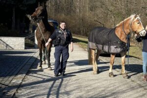 Autobahnpolizistin fängt entlaufenes Pferd, Verkehrschaos und Bahnunterbrechung in Oberförstchen.