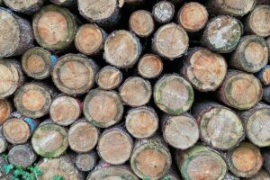 Umweltfreundliche Farbpigmente aus Holzresten: Forschung und Innovation für nachhaltige Farbproduktion.