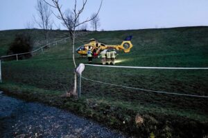 Rettungshubschrauber Christoph 5 bei Einsatz zur Bergung einer verletzten Reiterin im Wald.