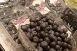 Strauchbeerenernte 2025: Heidelbeeren, Johannisbeeren, Himbeeren, grafische Darstellung der Erntemengen und Anbauflächen.