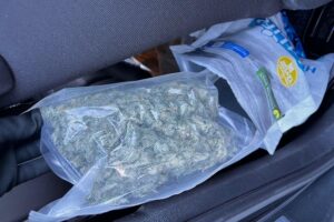 Marihuana-Blüte in Hundefutterverpackung, Zollkontrolle an Grenze, illegale Drogenentdeckung.
