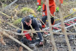 Feuerwehr rettet einen Labrador aus einem Moor in Stuttgart-Botnang – dramatische Tierrettung.