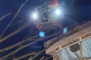 Feuerwehr und THW befreien Wohngebäude von umgestürztem Baum, Einsatzkräfte mit Kran und Drehleiter tätig.