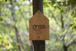 Hamburg plant Olympiabewerbung: Finanzkonzept, Sportstättenmodernisierung und Verbesserung der Barrierefreiheit.