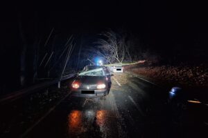 Herabstürzender Baum trifft zwei Autos, Feuerwehr räumt die Unfallstelle, drei Personen verletzt.