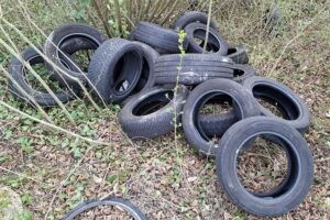 Illegale Ablagerung von Altreifen in einem Rebengelände, Polizei sucht Zeugen.