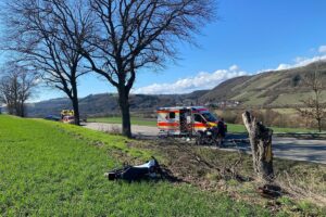 Unfallstelle mit Motorrad und Baum, Rettungskräfte bei Versorgung des verletzten Fahrers.
