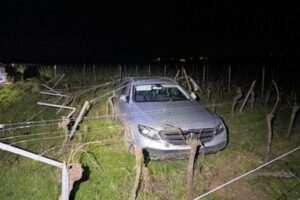 Ein verunfallter Wagen in einem Weinberg, umgeben von Rebstöcken, Polizei vor Ort.
