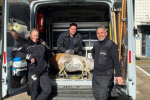 Entschärfung einer Weltkriegsbombe, Feuerwehr und Polizei im Einsatz, Köln-Bilderstöckchen.