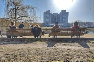 Sonnenschein, blühende Blumen und milde Temperaturen charakterisieren den außergewöhnlichen Frühlingsmonat März 2026.
