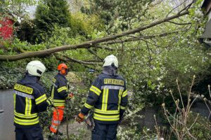 Baum fällt auf Wohnhaus, Feuerwehr im Einsatz, keine Schäden, Ostersonntag in Sprockhövel.