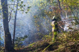 Waldbrand: Feuerwehrlöscharbeiten, Einsatzkräfte, Flammen und schwarzer Boden in idyllischer Waldumgebung.