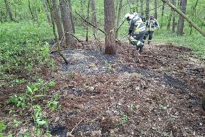 Feuerwehr löscht Vegetationsbrand in Hünxe, Waldfläche, Einsatzkräfte mit Löschgeräten und Wärmebildkamera.
