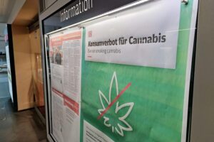 Cannabis-Symbole, grüne Pflanzen, Apotheken, Politik, Gesetze, Konsum, Gesundheit, Marktentwicklung.