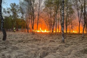 Freiwillige Feuerwehr bekämpft Vegetationsbrand in Waldgebiet; Warnung vor Brandgefahr und unsachgemäßem Verhalten.