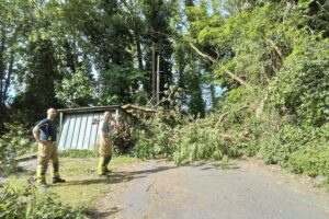 Baum blockiert Straße, Feuerwehr entfernt Äste mit Kettensäge und sichert Einsatzstelle.