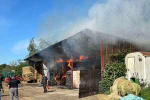 Lagerhalle brennt, Feuerwehr im Einsatz mit Wasserleitungen zur Bekämpfung von Heuballenbrand.