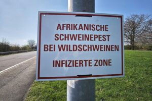 Warnschild zur Afrikanischen Schweinepest mit Hinweisen zu Schutzmaßnahmen und Sperrzonen.