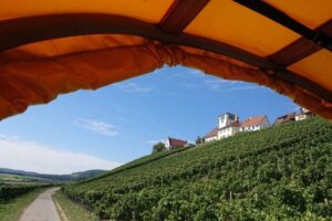 Offene Hoftüren, biologische Landwirtschaft, Besucher bei Führungen, regionale Produkte, Kinderprogramm, Liveband.