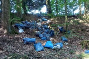 Illegal entsorgte Müllsäcke im Wald mit Kleidung, Dosen und Essensresten.