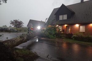 Umgestürzter Baum nach Gewitter, Feuerwehr im Einsatz zur Verkehrs- und Sicherheitssicherung.