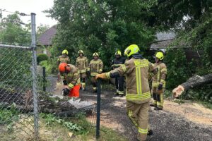 Umgestürzter Baum blockiert Straße, Feuerwehr beseitigt Schäden nach Gewitter in Wildeshausen.
