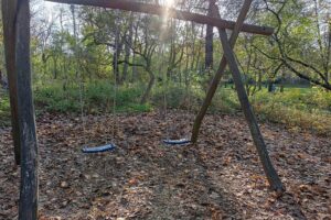 Schaukel im Wald, Kinder entdecken Natur, Förderung von frühkindlicher Bildung und Lernort.
