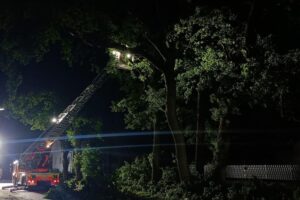 Feuerwehr im Einsatz gegen umgestürzte Bäume nach Unwetter, ausgebrannte Gebäude, verletzte Personen nicht.