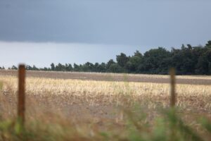 Dramatische Gewitterwolken mit Regen und Hagel, starker Wind und wechselhaftes Wetter in Niedersachsen.
