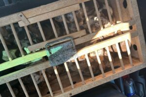 Zollbeamte entdecken Dackelwelpen in unsachgemäßer Transportbox während Kontrolle eines Fahrzeugs.